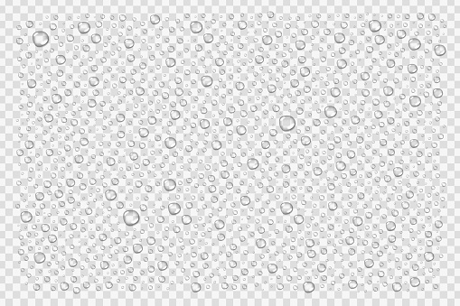 Vector realistic isolated water droplets for decoration and covering on the transparent background.