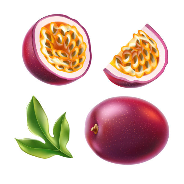 ilustrações de stock, clip art, desenhos animados e ícones de vector realistic passionfruit with seed green leaf - granadilla