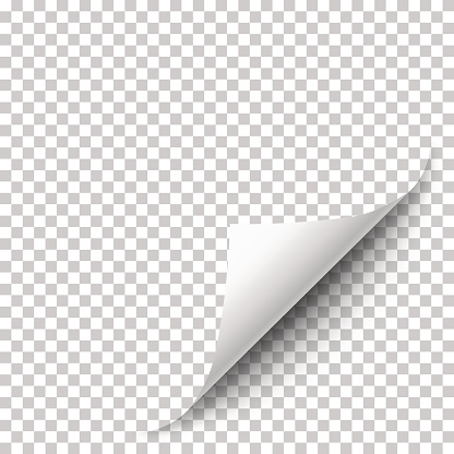 Vector realistic white paper corner