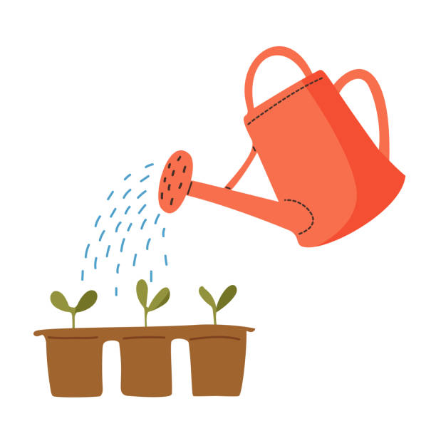 Vector red watering can isolated on a white background. Gardening tools. Seedlings are watered from a watering can. Vector red watering can isolated on a white background. Gardening tools. Seedlings are watered from a watering can. Vector illustration watering can stock illustrations