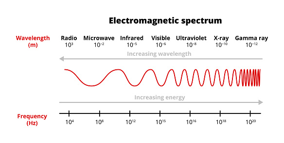 Vector scientific illustration of the electromagnetic spectrum –  radio, microwave, infrared, visible, ultraviolet, x-ray, gamma-ray waves isolated on a white background. Frequency and wavelength. Increasing energy, increasing wavelength. Frequency modulation.
