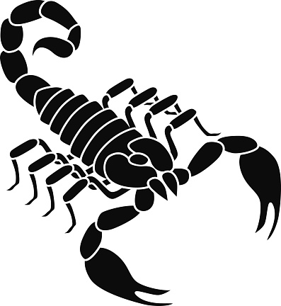 vector scorpion in black and white