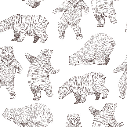 Vector seamless background with hand drawn funny bears. Hipster stylish design.