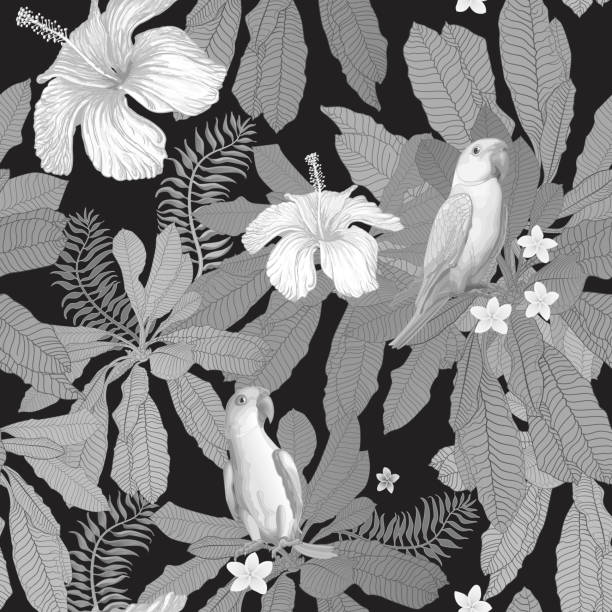 Vector seamless grey-scale floral pattern from hand drawn hibiscus and plumeria flowers, Indian parrots, and fantasy tropical foliage on the black background Vector seamless grey-scale floral pattern from hand drawn hibiscus and plumeria flowers, Indian parrots, and fantasy tropical foliage on the black background black and white hibiscus cartoon stock illustrations