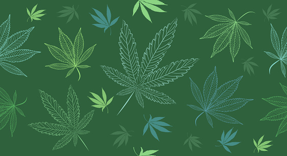 Vector Seamless Medical Cannabis, Marihuana Leaves on a Green Background.