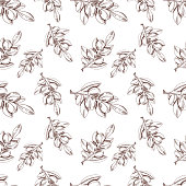 Vector Seamless Pattern: Argan Oil, Sketch Style Background, Outline Plant Drawings. Endless Background.
