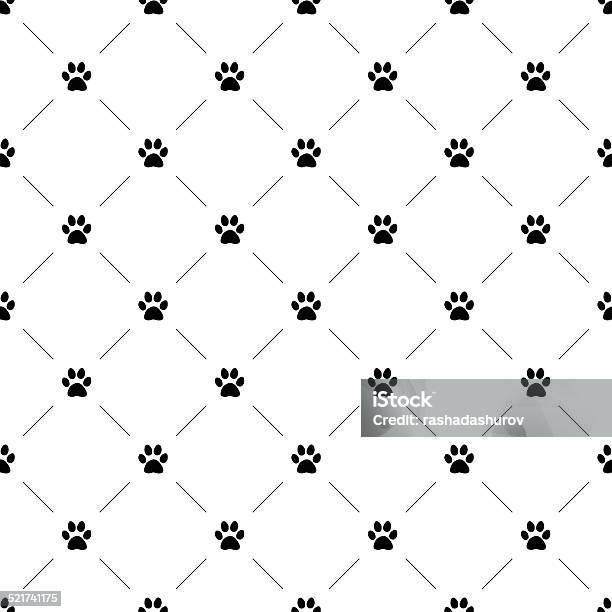 B Pattern Cat 6