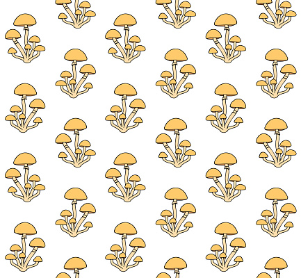 Vector seamless pattern of colored hand drawn doodle sketch honey mushroom