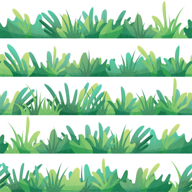 Vector seamless pattern of grass. Green grass and leaves on a white background. Boundless summer background. grass designs stock illustrations