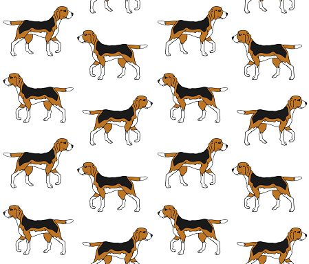 Vector seamless pattern of hand drawn doodle sketch colored beagle dog
