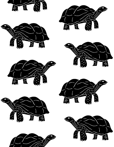Vector seamless pattern of hand drawn doodle sketch turtle