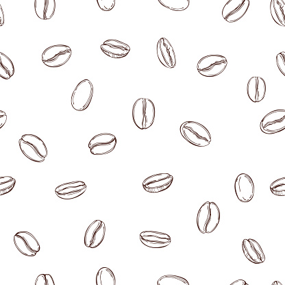 Vector seamless pattern with hand drawn  coffee  beans.