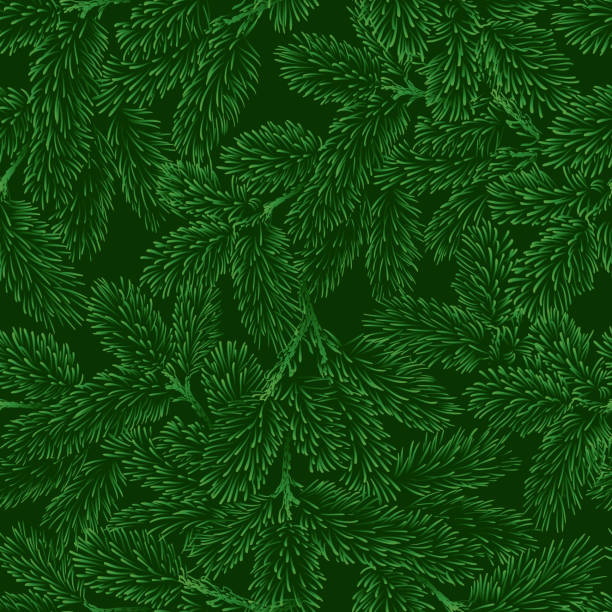 Vector seamless pattern with green pine branches. Green background with pine branches. Can be used for new year illustration, winter card design. pinaceae stock illustrations