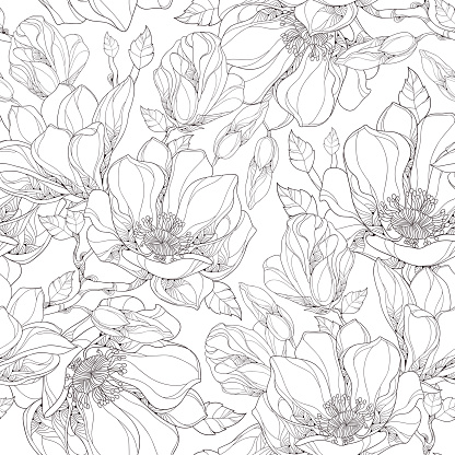 Vector seamless pattern with ornate magnolia flower, buds and leaves.