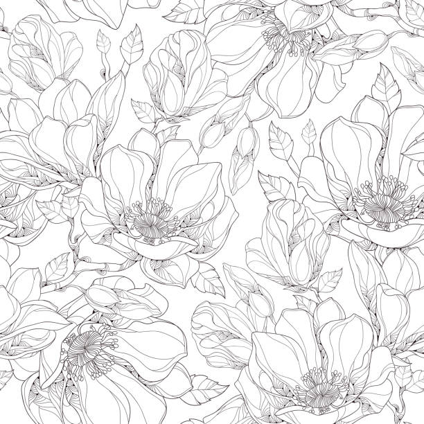 Vector seamless pattern with ornate magnolia flower, buds and leaves. Vector seamless pattern with outline magnolia flower, ornate buds and leaves on the white background. Elegance floral background in contour style for summer design and coloring book. coloring book pages templates stock illustrations