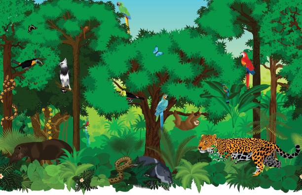 vektor-nahtlose tropischen regenwald dschungel hintergrund muster illustration mit tieren - urwald stock-grafiken, -clipart, -cartoons und -symbole
