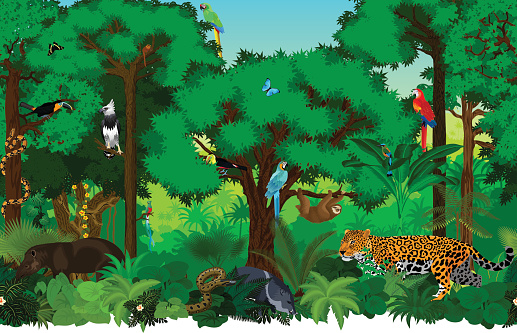 Vector Seamless Tropical Rainforest Jungle Background ...
