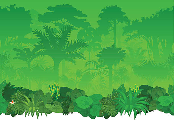 vektor nahtlose tropischen regenwald-dschungel hintergrund  - urwald stock-grafiken, -clipart, -cartoons und -symbole