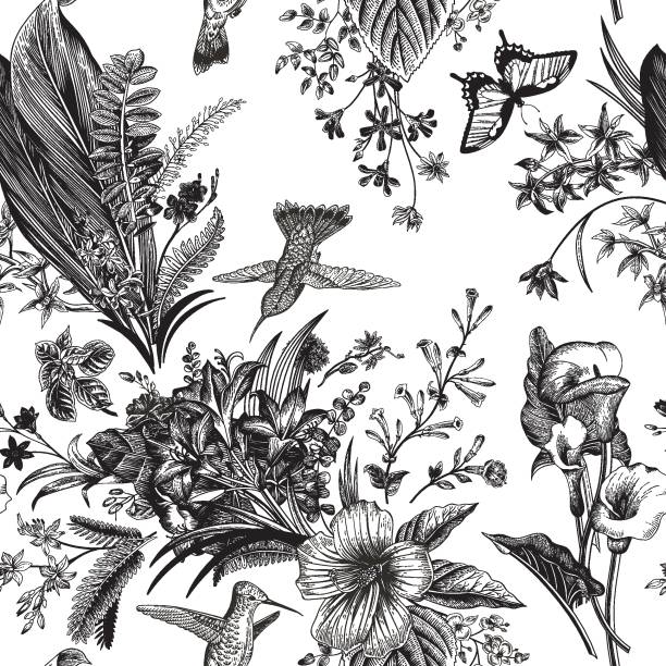 Vector seamless vintage floral pattern. Vector seamless vintage floral pattern. Exotic flowers and birds. Botanical classic illustration. Black and white hummingbird stock illustrations