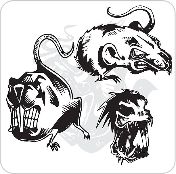 Download Mean Rat Illustrations, Royalty-Free Vector Graphics & Clip Art - iStock