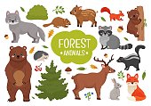 Vector set forest animals. Illustration of cartoon cute animals.