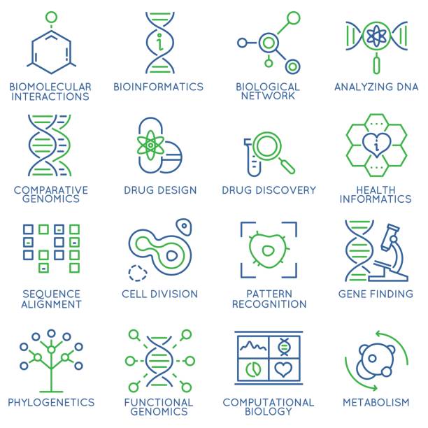 Vector set of 16 linear thin icons related to bioinformatics and bioengineering. Mono line pictograms and infographics design elements Vector set of 16 linear thin icons related to bioinformatics and bioengineering. Mono line pictograms and infographics design elements dna icons stock illustrations