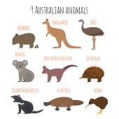 Vector set of Australian animals icons. Emu, wombat, kiwi, koala, kangaroo. Flat style.