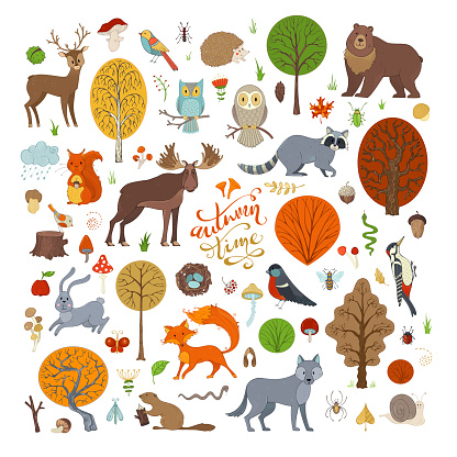 Vector set of autumn forest trees and animals.