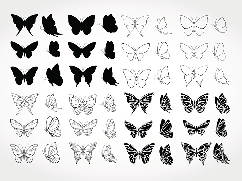 Vector set of black silhouettes butterflies.