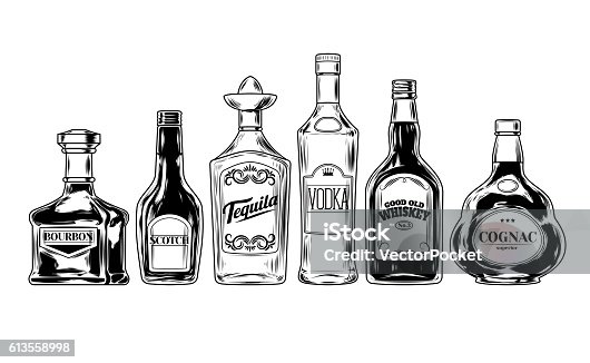 istock Vector set of bottles for alcohol 613558998