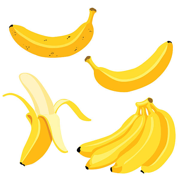 Vector Set of Cartoon Yellow Bananas. Vector Set of Cartoon Yellow Bananas. Overripe Banana, Single Banana , Peeled Banana, Bunch of Bananas. banana stock illustrations