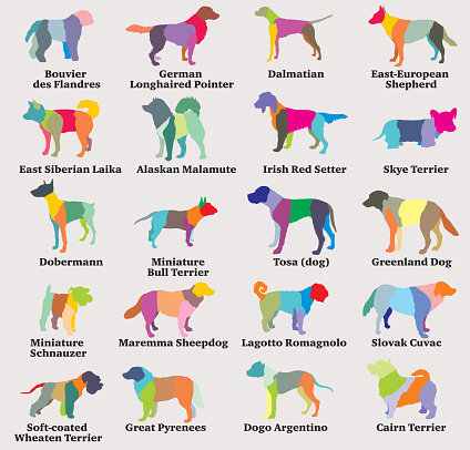 Vector set of colorful mosaic dogs silhouettes-8
