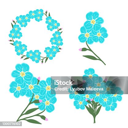 istock vector set of compositions of flowers and forget me not buds:the inscription Spring, an inflorescence of forget-me-not buds, a small bouquet, cartoon baskets with flowers,frames.Stock illustration 1300776102