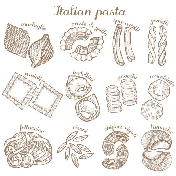 vector set of  different pasta shapes vector set of hand drawn different pasta shapes pasta drawings stock illustrations