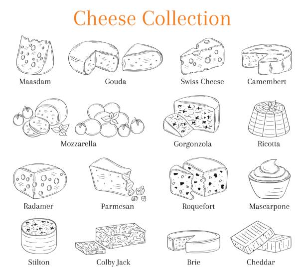 illustrazioni stock, clip art, cartoni animati e icone di tendenza di set vettoriale di diversi tipi di formaggio, illustrazione disegnata a mano isolata sullo sfondo della lavagna - mozzarella