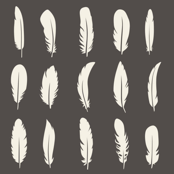 Vector set of feather Vector group of feather. Silhouette set icons bristle animal part stock illustrations