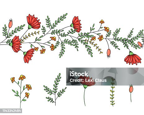 istock Vector set of garden plant design elements and pattern brush with stylized forget-me-not, basil, oregano 1143342484