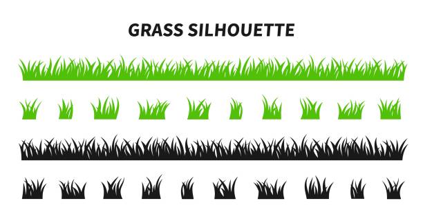 Vector set of green grass silhouettes. Vector set of green grass silhouettes isolated on white background. Natural, eco, bio, organic. Illustration for concept design. grass stock illustrations