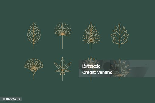 istock Vector set of linear boho icons and symbols - floral  design templates - abstract design elements for decoration in modern minimalist style 1316208749