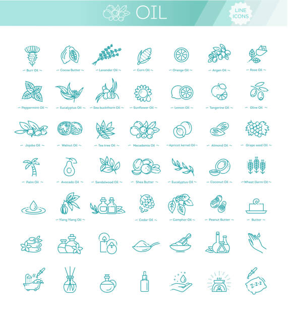 Vector set of natural ingredients and oils for cosmetics in linear style Set vector icons graphic thin outline in a linear design infusion therapy stock illustrations