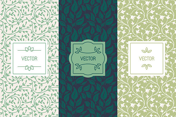 Vector set of packaging design templates for cosmetics, beauty p vector art illustration
