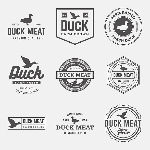 vector set of premium duck meat labels and design elements vector set of premium duck meat labels, badges and design elements drake stock illustrations