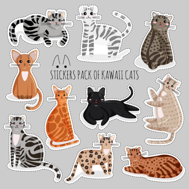 векторный набор наклеек кошек в стиле каваи - bengals stock illustrations