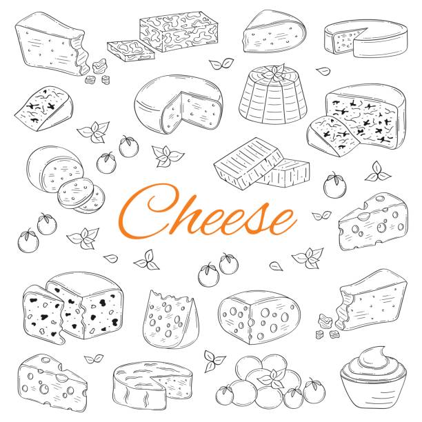 Vector set of various types of cheese, hand drawn illustration isolated on chalkboard background Vector set of various types of cheese, Mozzarella, Swiss Cheese, Gouda, Roquefort, Parmesan, Cheddar, Gorgonzola , Mascarpone, Brie, Camembert hand drawn illustration isolated on chalkboard background brie stock illustrations