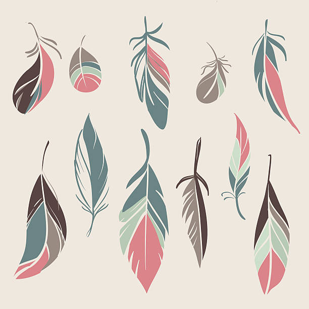 Vector set of vintage feathers Vector set of different hand drawn feathers feather stock illustrations
