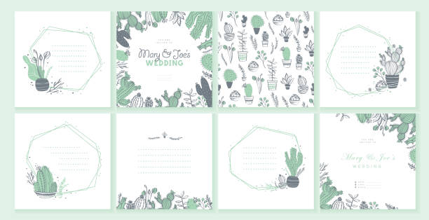 Vector set of wedding invitation, card, tag, pattern design template - text place, frame with cactus, branches, floral elements arrangements isolated on white background. Vector set of wedding invitation, card, tag, pattern design template - text place, frame with cactus, branches, floral elements arrangements isolated on white background. Hand drawn sketch style. cactus backgrounds stock illustrations
