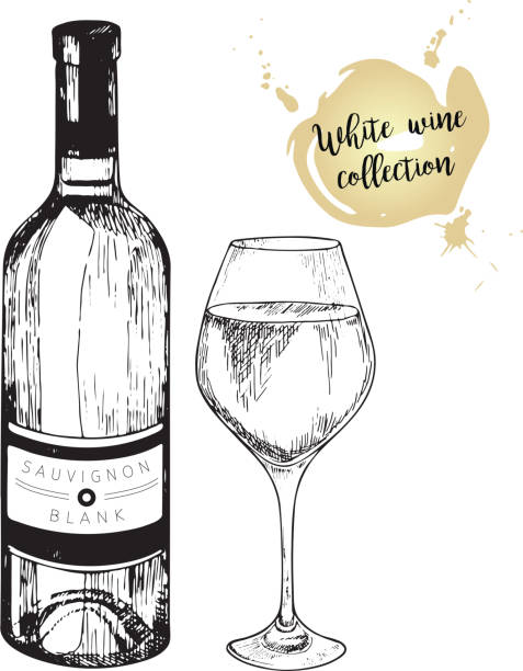 Vector set of white wine in engraved vintage style. Wine bottle and glass. Isolated on white background. Decorated with lettering and blots. Use for restaurant, cafe, store, food, menu, design. Vector set of white wine in engraved vintage style. Wine bottle and glass. Isolated on white background. Decorated with lettering and blots. Use for restaurant, cafe, store, food, menu, design. semi sweet chocolate stock illustrations