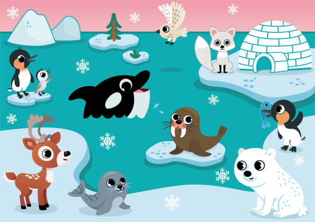 stockillustraties, clipart, cartoons en iconen met vector set met arctische dieren voor kinderen - ice swimming