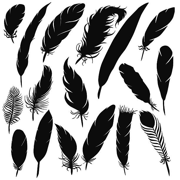 Download Royalty Free Feather Clip Art, Vector Images ...