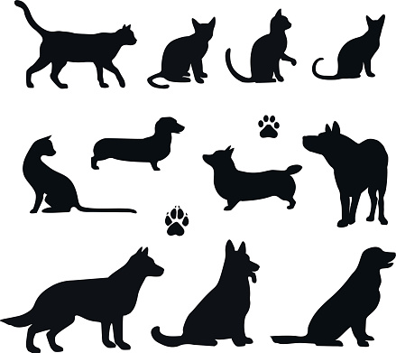 Vector silhouette of pet